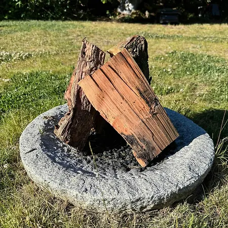Log Within Walking Distance Of The * Dronningmølle